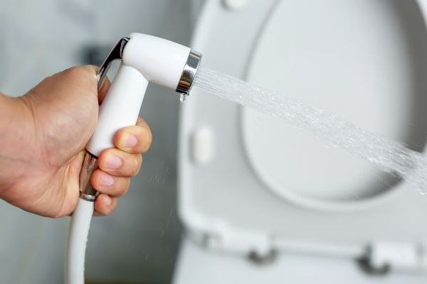 Bidet Installation in Saint Joseph