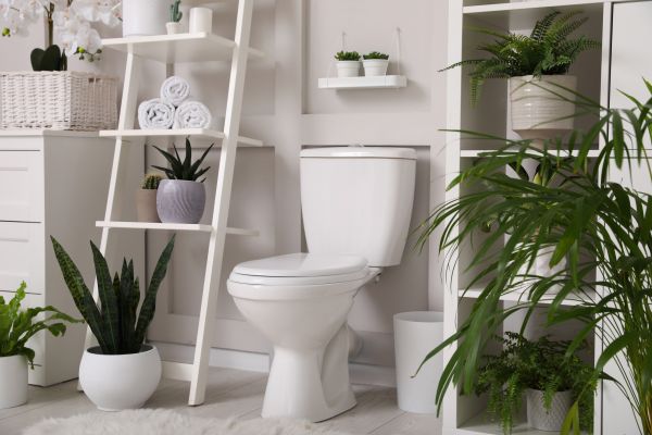 Cost of Toilet Repair in Saint Joseph