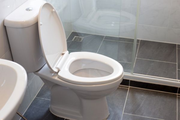 Toilet Replacement in Saint Joseph