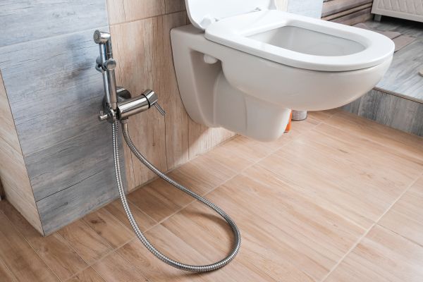 Bidet Service in Saint Joseph