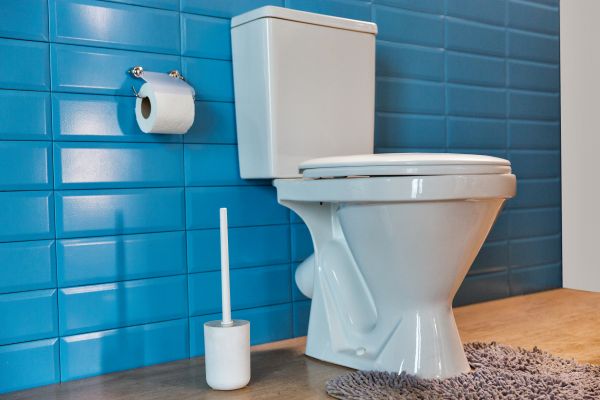 Cost of Toilet Tank Repair in Saint Joseph