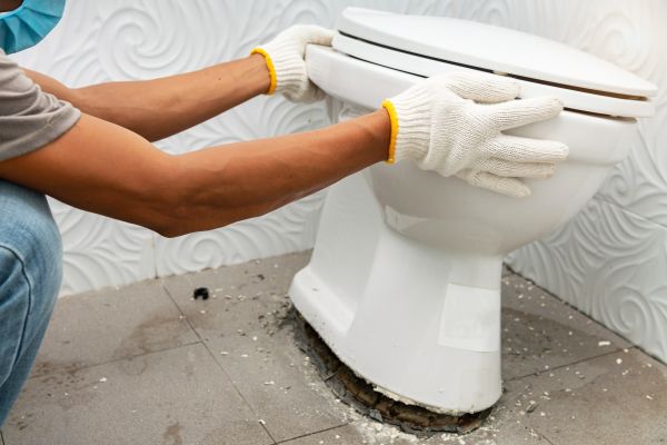 Cost of Toilet Removal in Saint Joseph