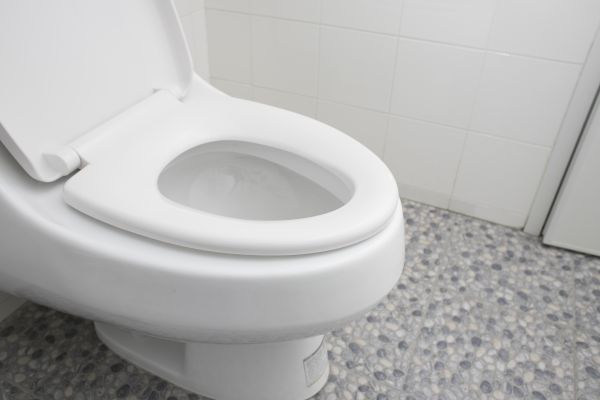 Cost of New Toilet Installation in Saint Joseph